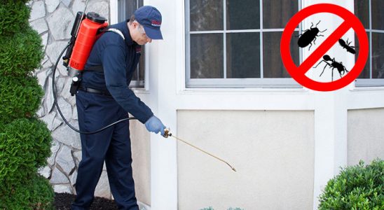 Torbalı Akrep İlaçlama böcek ilaçlama ve haşere kontrolü — ilaclama-tr.com